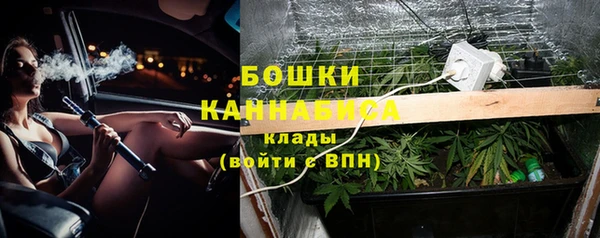 дмт Магас