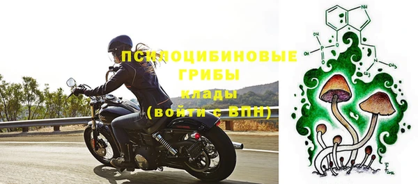 дмт Магас