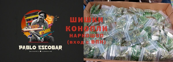 дмт Магас