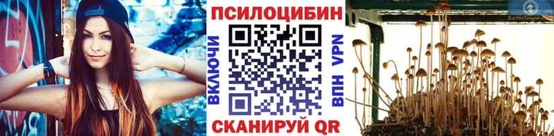 где продают наркотики  Усть-Илимск  Псилоцибиновые грибы мухоморы 