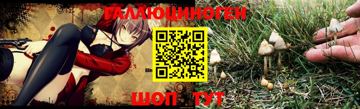 Галлюциногенные грибы Psilocybe  Вход с VPN  Псилоцибиновые грибы ЛСД  как найти   Усть-Илимск 