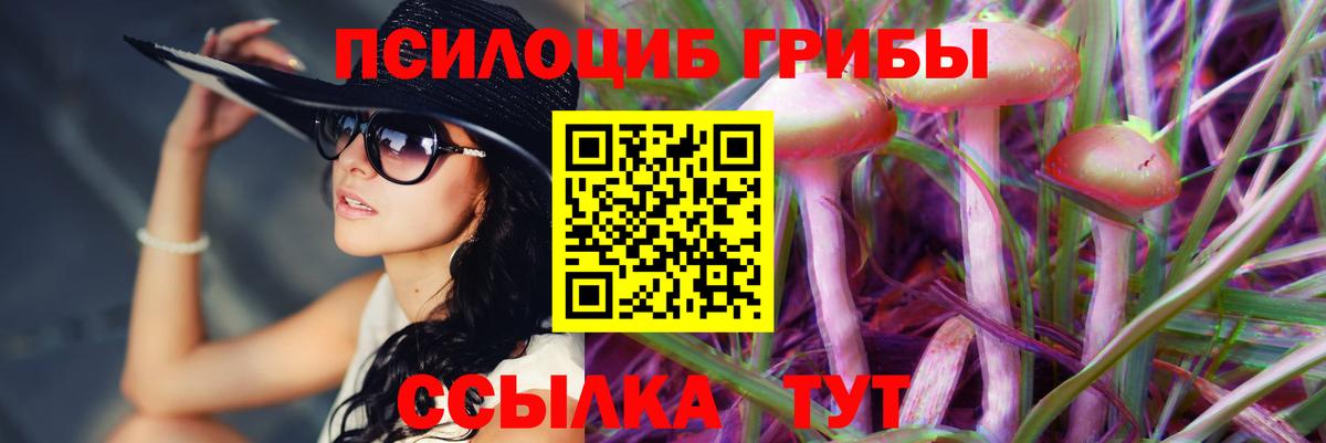 Галлюциногенные грибы Psilocybine cubensis Усть-Илимск